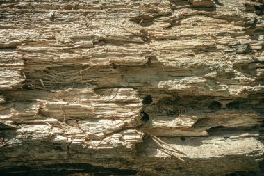 Yaşlı çürümüş ahşap ihtiyarlıktan dökülüyor.