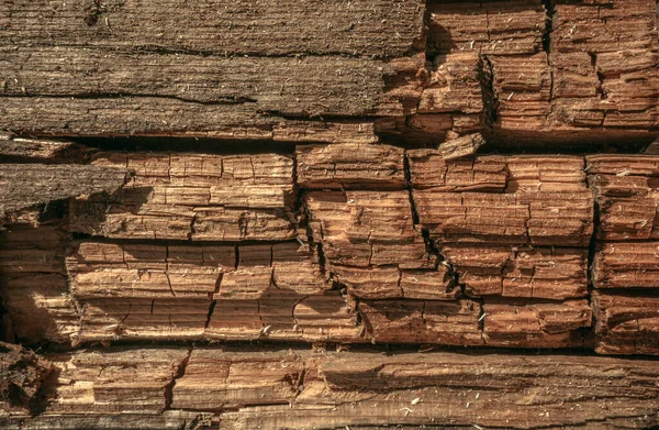 Texture Old Tree Cracks Begins Fall Apart Old Age — Stock Photo, Image