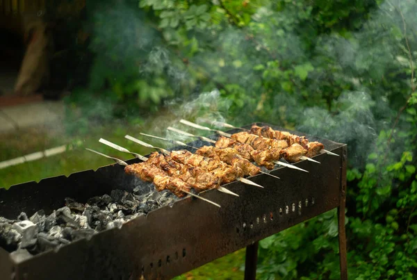 Vaření Masa Grilu Zahradě Létě Zeleném Pozadí Kouře Uhlí — Stock fotografie