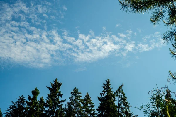 Céu Azul Com Nuvens Brancas Contornos Árvores Redor Das Bordas — Fotografia de Stock