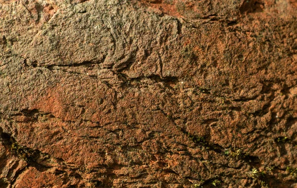 Texture Brique Rouge Avec Fissures Éraflures — Photo