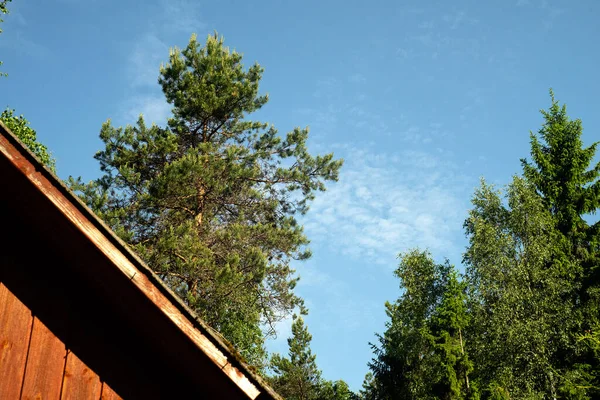Telhado Uma Casa Madeira Céu Azul Árvores Fundo Paisagem Rural — Fotografia de Stock