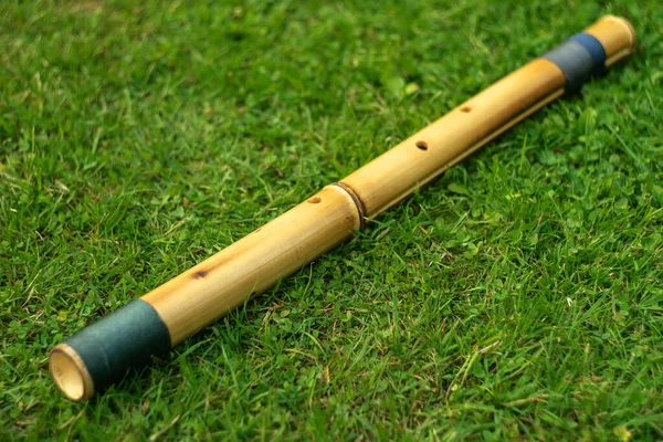 Yeşil çimlerin üzerinde bambu piposu 