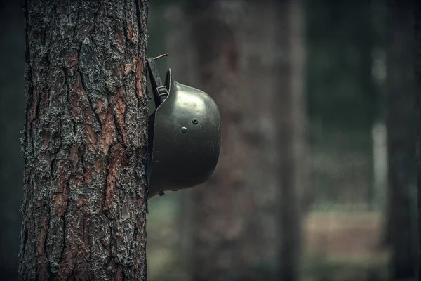 A military helmet from the second world war hangs in the forest on a tree.