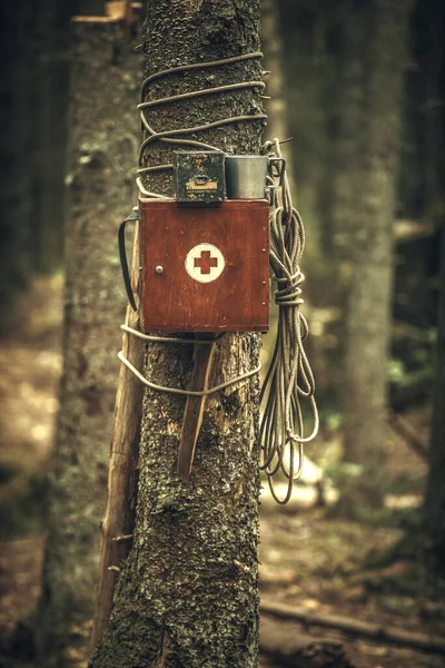 An old wooden first aid kit with a red cross attached to a tree in the forest.