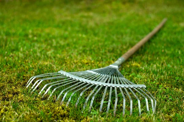 Râteau Jardin Métal Pour Nettoyer Les Feuilles Sur Herbe Verte — Photo