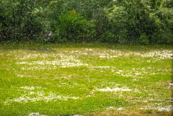 Havada yağmur damlaları uçuşuyor ve çimenlerde su birikintileri.
