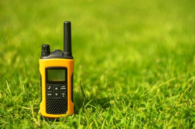 Yeşil çimlerin üzerine sarı verici, yazıtlar için yer.