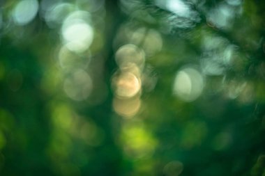 Geçmişi. Yuvarlak sanatsal olarak bulanık bokeh, yumuşak odak.