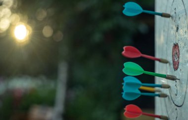 Dart oynamak için dart, doğada ev yapımı bir tahtaya sıkışmış.