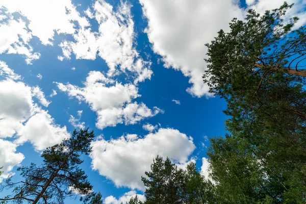 Nuvens Brancas Céu Azul Vista Baixo — Fotografia de Stock