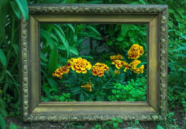 Sarı çiçekler altın çerçeveli bir yatakta