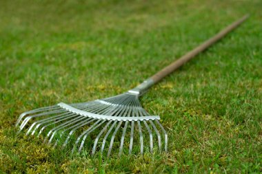 Metal fan rake on the green grass in the garden clipart