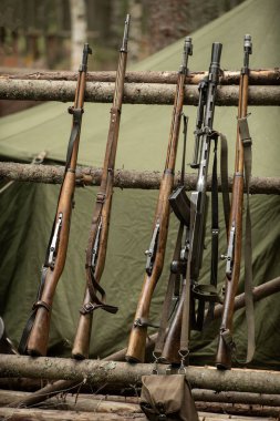 Bir orman kampında 2. Dünya Savaşı silahları. Tüfekler ve makineli tüfekler