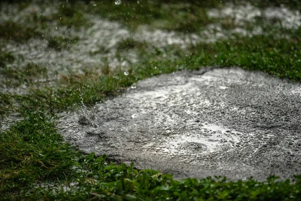 Regndroppar Faller Pölar Med Flygande Spray Oväder — Stockfoto