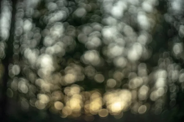 Bokeh Glare Sun Artistic Blur — Stock Photo, Image