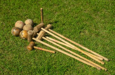 # Sonbahar akçaağaç yaprakları güneşte #