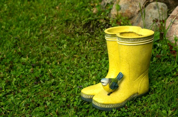 Sepatu Karet Kuning Dengan Burung Jari Kaki Sosok Dekoratif Taman — Stok Foto