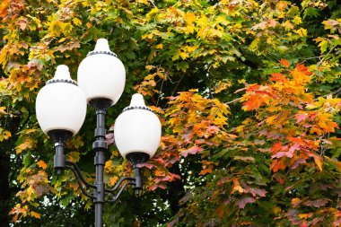 Fenerler arka planda sonbahar yaprakları parar