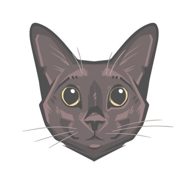 Komik bir kedi soyut portre