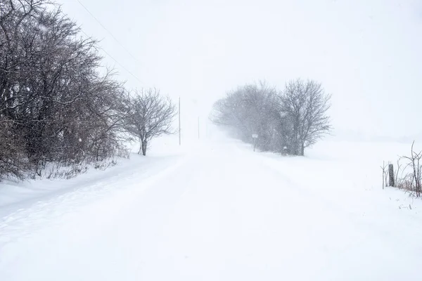 Camino Rural Que Está Completamente Cubierto Nieve Durante Una Ventisca — Foto de Stock