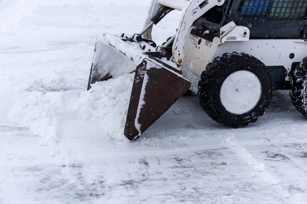 Een Stierkalf Skid Verwijdert Sneeuw Een Sneeuwstorm — Stockfoto