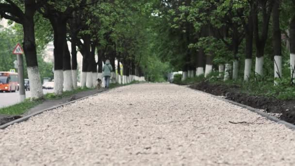 아스팔트 밑에 있는 자갈 밑동을 부드럽게 준비 한다. — 비디오