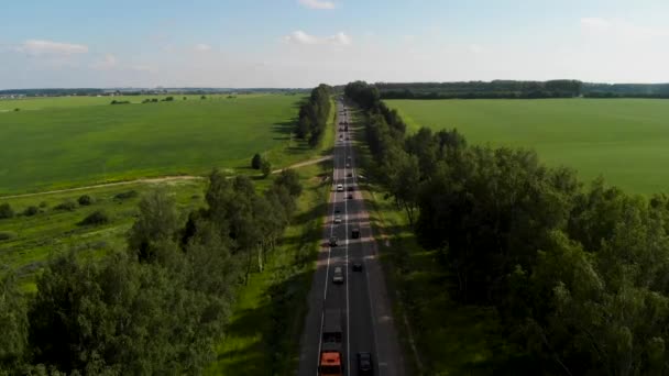 Letecký pohled. Drahé průchody přes pole oseté zemědělské plodiny. — Stock video