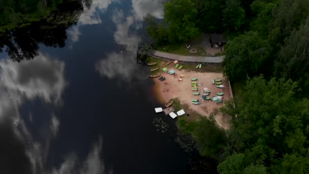 新鮮な池で森の中の小さなビーチ。空撮ビュー — ストック動画