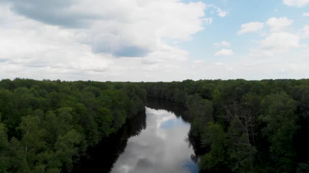 Vista aérea. Río en el bosque en un cálido día soleado. 4K — Vídeo de stock