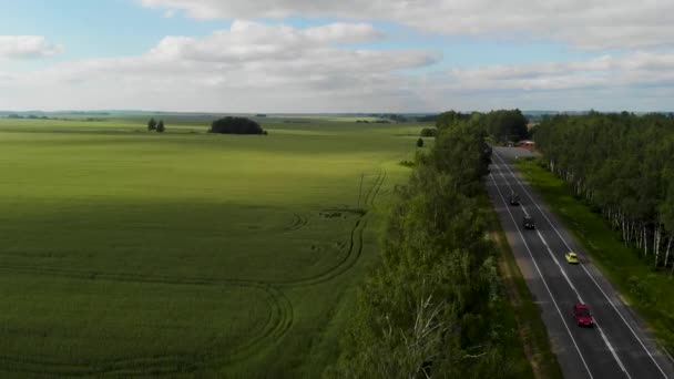Вид з повітря. Дорога проходить через поле, посіяне сільськогосподарськими культурами.. — стокове відео