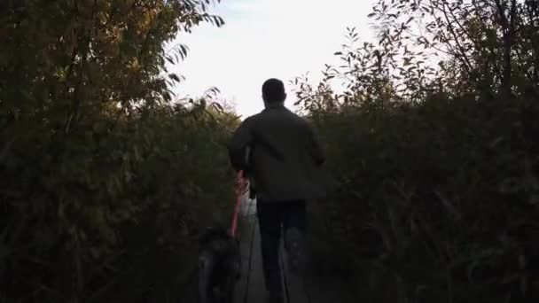 Hombre corre con su hermoso perro a lo largo del muelle hasta el lago en un día de primavera — Vídeos de Stock