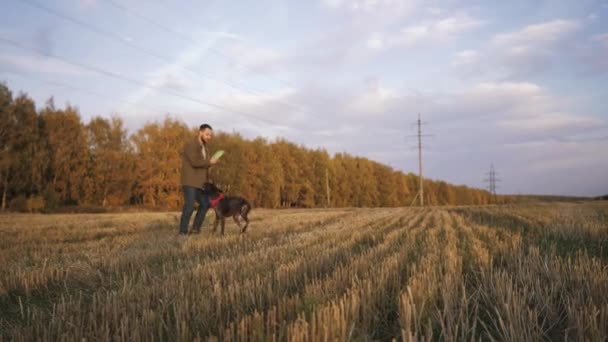 En ung man går på ett fält med sin hund Kurzhaar och spelar ett flygande tefat — Stockvideo