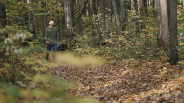 秋の森の中で犬のクルツァールと歩く男 — ストック動画