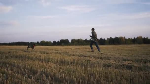 Um jovem corre através do campo ao pôr-do-sol com sua raça de cães Kurtzhaar — Vídeo de Stock