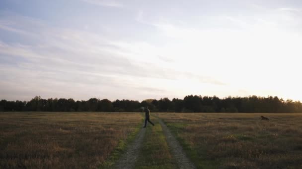 Een jonge man loopt in een veld met zijn hond Kurzhaar en speelt een vliegende schotel — Stockvideo