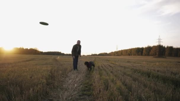 Młody człowiek spaceruje po polu ze swoim psem Kurzhaarem i gra latającym spodkiem. — Wideo stockowe