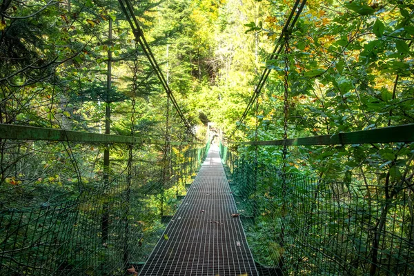 Puente en la ruta de senderismo en el paraíso eslovaco — Foto de Stock