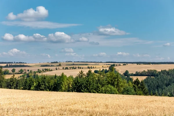 Summer Rural Landscape Stubble Fields Trees Blue Sky Clouds Czech — Stock Photo, Image