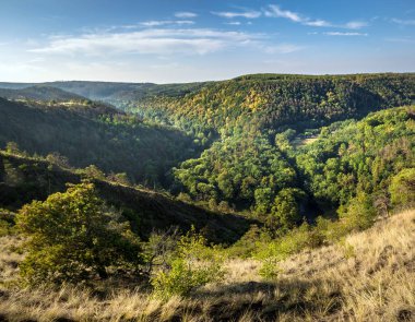 Orman yaz peyzaj - mavi gökyüzü, Çek Cumhuriyeti, Europe altında Jihlava Nehri'nin Menderes Nehri Vadisi