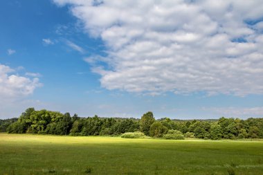 Yeşil çayır, orman ve şaşırtıcı beyaz bulutlar - Çek Cumhuriyeti, Avrupa ile mavi gökyüzü
