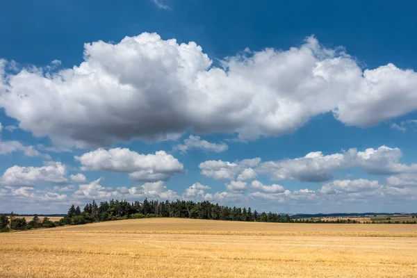 Amazing Blue Sky White Clouds Stubble Field Forest Czech Republic — Stock Photo, Image