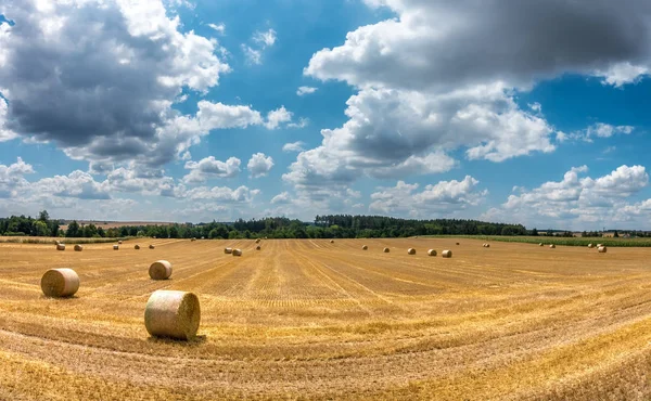 Amplia Vista Angular Del Campo Verano Con Fardos Paja Campo — Foto de Stock