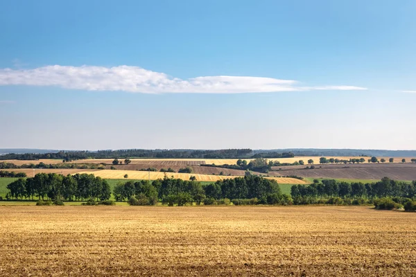 Letní Krajina Poli Strniště Stromy Pod Modrou Oblohou Česká Republika — Stock fotografie