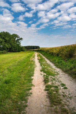 Toprak yol yaz manzara beyaz bulutlar - Çek Cumhuriyeti, Avrupa ile mavi gökyüzü altında aracılığıyla