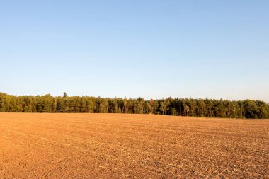 Sonbahar peyzaj hasat alanı, orman ve açık mavi gökyüzü - metin için yer. Çek Cumhuriyeti, Europe.
