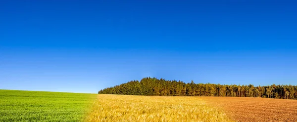 Panoramatické Koláž Jarní Letní Podzimní Pole Lesem Obzoru Pod Jasné — Stock fotografie