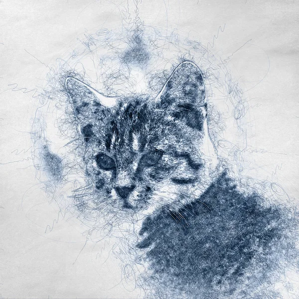 Ілюстрація Кішки Руці Намальованому Стилі Збитому Папері — стокове фото