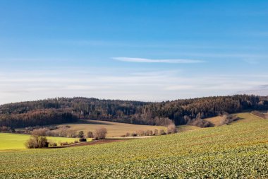 Güzel sonbahar veya ilkbahar kırsal alanları ve orman altında mavi gökyüzü - Çek Cumhuriyeti, Europe