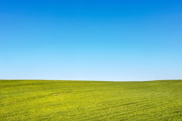 Minimalistisk skott av vår eller sommar landskap — Stockfoto